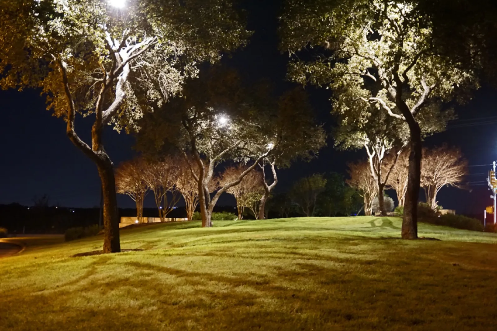 Landscape Lighting