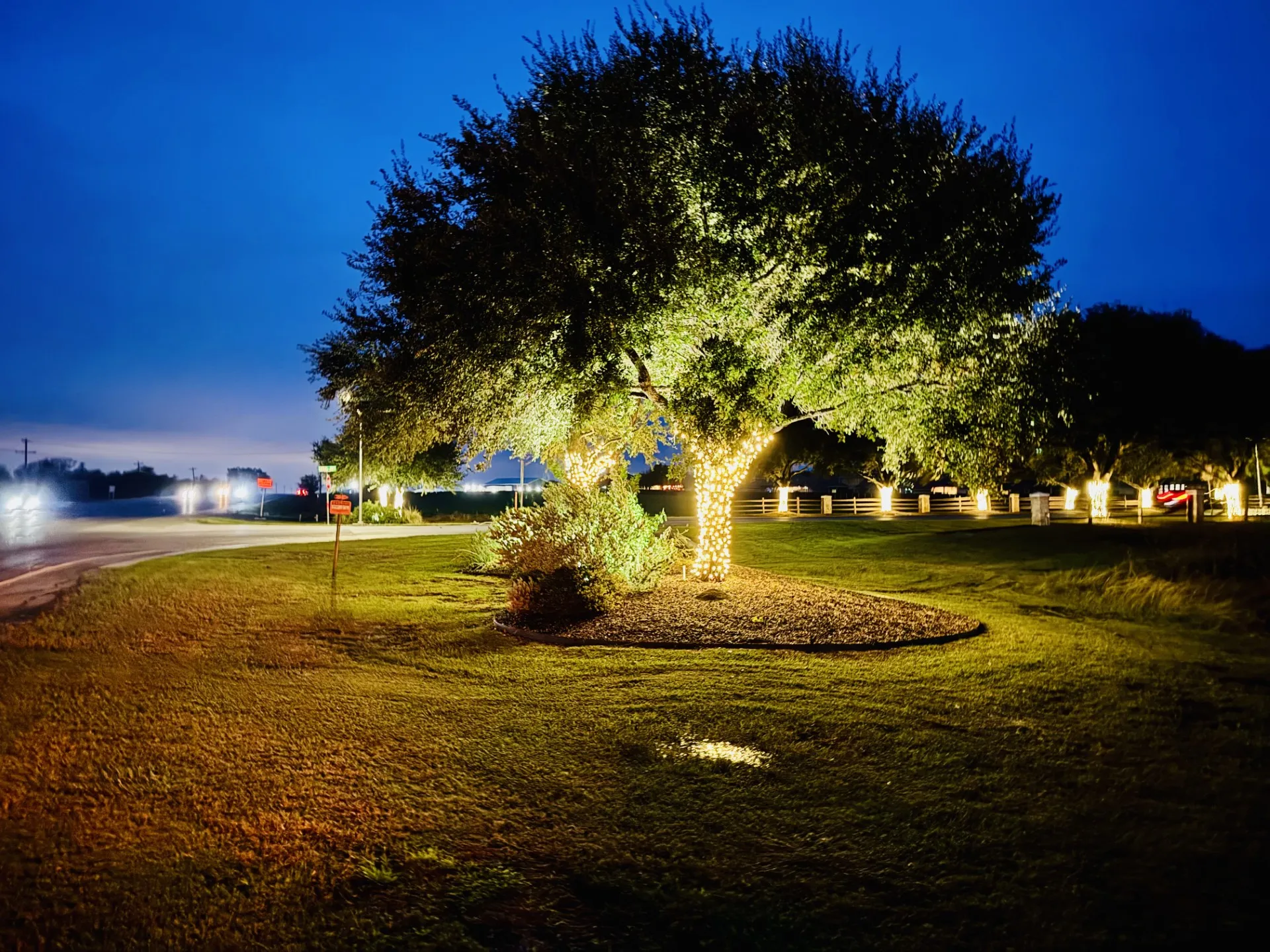 Holiday Lighting